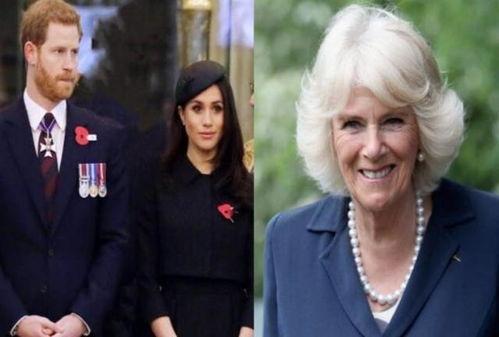 王室爆料卡米拉视频,卡米拉私密视频曝光,真相令人震惊 第2张 王室爆料卡米拉视频,卡米拉私密视频曝光,真相令人震惊 第2张